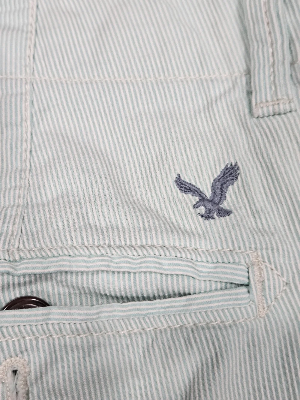 American Eagle Outfitters Mint Green Flat Front Men's Shorts